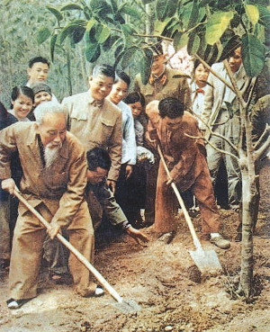 TẾT TRỒNG CÂY ĐỜI ĐỜI NHỚ ƠN BÁC HỒ