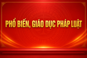 pho bien giao duc phap luat