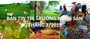 Bản tin thị trường Tháng 3/2019