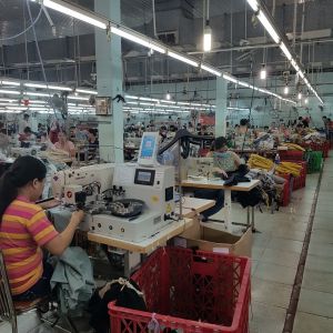 Giải pháp thu mua heo sạch, giết mổ và cấp đông thịt heo