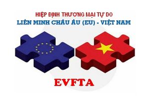 Chương trình tập huấn trực tuyến về cam kết Hiệp định Thương mại tự do giữa Việt Nam và Liên minh Châu Âu (EVFTA).