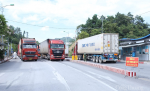 TÌNH HÌNH XNK HÀNG HÓA QUA CÁC CỬA KHẨU TRÊN ĐỊA BÀN TỈNH LẠNG SƠN (11/01/2022)