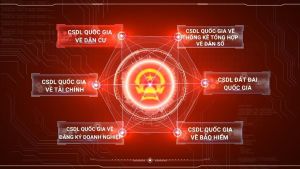 Cần quan tâm đẩy mạnh phát triển dữ liệu