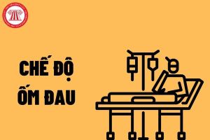 Có trả lương cho người lao động trong những ngày nghỉ hưởng chế độ ốm đau hay không? Ngày nghỉ ốm đau có phải đóng bảo hiểm?