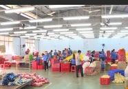 Khuyến công: Hiệu quả từ việc hỗ trợ đầu tư máy móc thiết bị p3