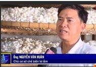 Khuyến công: Sống lại nghề chế biến tơ tằm p2