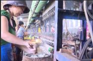 Khuyến công: Sống lại nghề chế biến tơ tằm p4