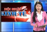 Hội nhập kinh tế: Giải pháp phát triển vùng kinh tế trọng điểm phía Nam p4