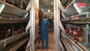 Hội nhập kinh tế: Đầu tư là yếu tố sống còn để phát triển p1