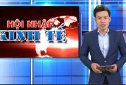 Hội nhập kinh tế: Phát triển thương mại điện tử ở Đồng Nai p5