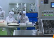 Tín hiệu khởi sắc từ doanh nghiệp FDI p2