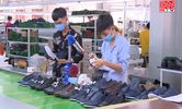 Doanh nghiệp ổn định sản xuất p1
