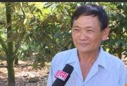 Phát triển kinh tế bền vững nhờ nguồn vốn ngân hàng p2