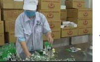 Doanh số sụt giảm hơn 50% vì Covid p2