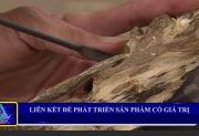 Tháo gỡ để khu vực nông thôn phát triển p2