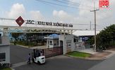 Thu hút doanh nghiệp vào khu nhà xưởng xây sẵn p1