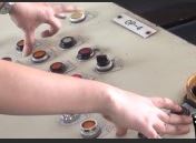 Kim ngạch xuất nhập khẩu Đồng Nai tăng cao p3