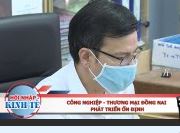 Công nghiệp - thương mại Đồng Nai phát triển ổn định p1