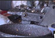 Doanh nghiệp chế biến điều nỗ lực duy trì sản xuất p2