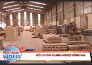 Nỗi lo cho doanh nghiệp Đồng Nai p1