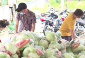 Hiệu quả từ những chuyến xe bán hàng lưu động bình ổn p5