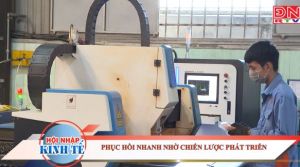 Phục hồi nhanh nhờ chiến lược phát triển p1