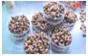Sản phẩm công nghiệp nông thôn vào giỏ quà tết p1