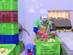 Sở Công thương làm việc với các huyện P3