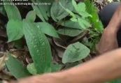Mở rộng chính sách tín dụng ưu đãi đối với vùng đồng bào dân tộc thiểu số và miền núi P3