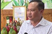 Bưởi lên men Anna p3