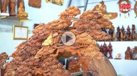 Xây dựng thương hiệu tinh dầu trầm Tân Phú P1