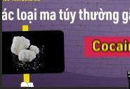Video tuyên truyền về phòng, chống ma túy