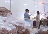 Hỗ trợ mở rộng thị trường hàng Việt p4