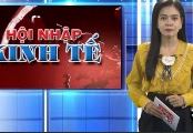 Thu hút đầu tư Đồng Nai khởi sắc p1
