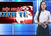 Mang sản phẩm vị vương đến với khách hàng p1