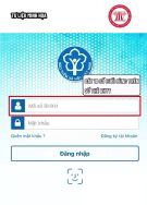 Cách tra cứu quá trình đóng BHXH trên VssID