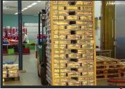 Hội nghị khuyến công khu vực phía Nam p4