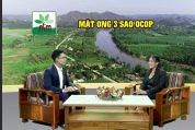Mật ong 3 sao OCOP p1