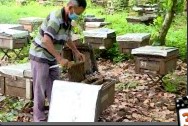 Mật ong Minh Đào - Long Khánh mong chờ đến tuần hàng Việt p12