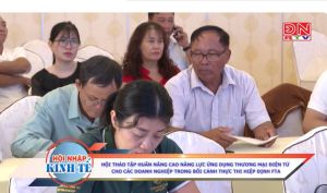 Hội thảo tập huấn nâng cao năng lực ứng dụng TMĐT cho các DN trong bối cảnh thực thi hiệp định FTA p1