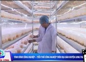 Tình hình công nghiệp - Tiểu thủ công nghiệp trên địa bàn huyện Long Thành p1