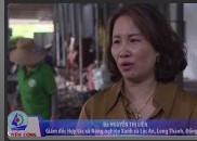 Tình hình công nghiệp - Tiểu thủ công nghiệp trên địa bàn huyện Long Thành p3