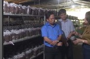 Tình hình công nghiệp - Tiểu thủ công nghiệp trên địa bàn huyện Long Thành p4