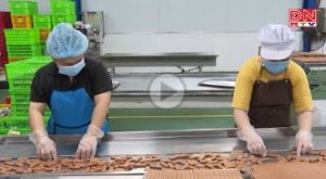 DOMILK - thay đổi để tăng trưởng bền vững