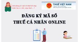 Cách đăng ký MÃ SỐ THUẾ CÁ NHÂN mới nhất, có kết quả sau 3 ngày làm việc