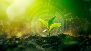 Nâng cấp hệ miễn dịch thực vật bằng công cụ AI