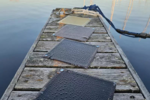 Nhựa sinh học có khả năng tái chế vượt trội hơn so với các loại nhựa gốc nhiên liệu hóa thạch