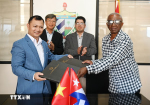 Doanh nghiệp Việt Nam đầu tư trồng điều ở Cuba