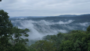 Hành trình khám phá Vườn quốc gia Bù Gia Mập – Trải nghiệm...