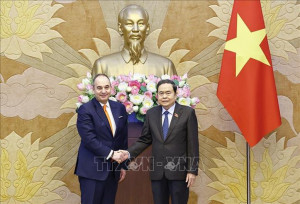 Chủ tịch Quốc hội Trần Thanh Mẫn tiếp Phó Chủ tịch thứ nhất Quốc hội Hy Lạp Ioannis Plakiotakis - Ảnh: TTXVN